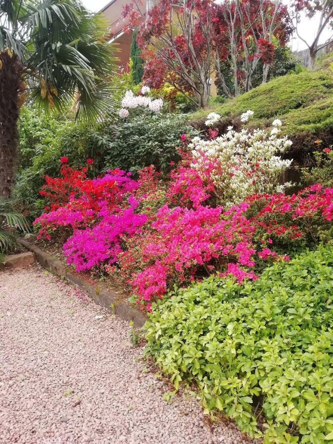 Villa Banfi Lavena Ponte Tresa Ngoại thất bức ảnh